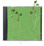 etsy CD Case Greenhouse